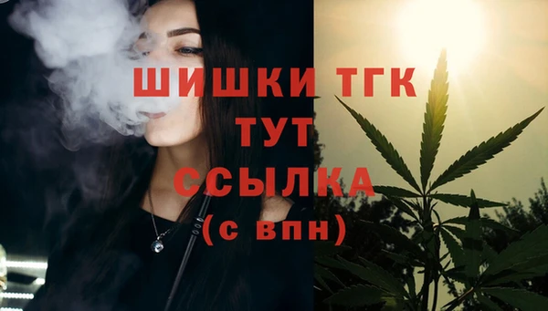 мяу мяу мука Алзамай