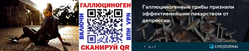 купить наркоту  Новороссийск  Псилоцибиновые грибы мухоморы 