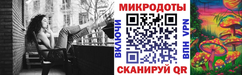 Псилоцибиновые грибы мицелий Новороссийск